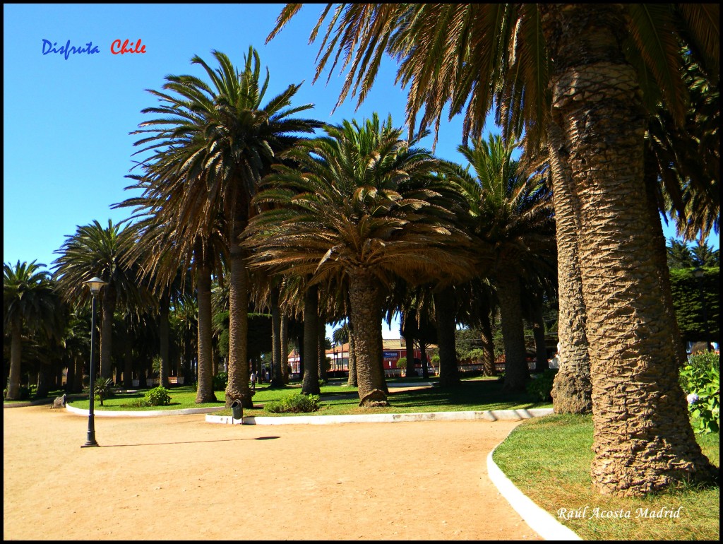 Foto de Pichilemu (Libertador General Bernardo OʼHiggins), Chile