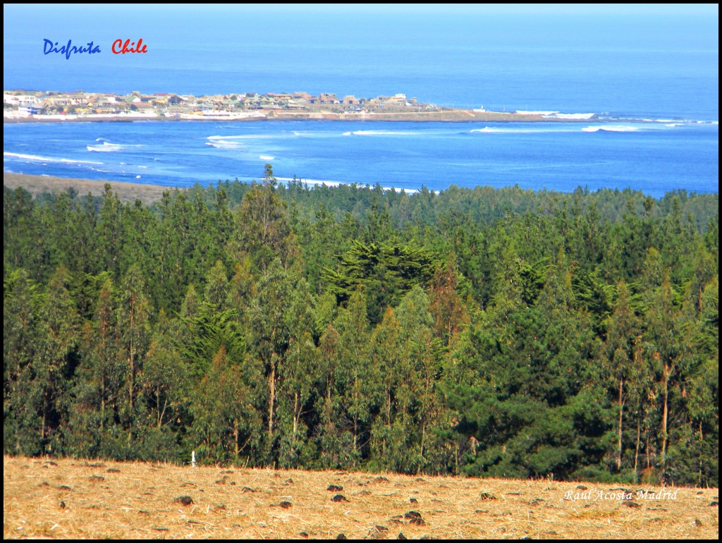 Foto de Pichilemu (Libertador General Bernardo OʼHiggins), Chile