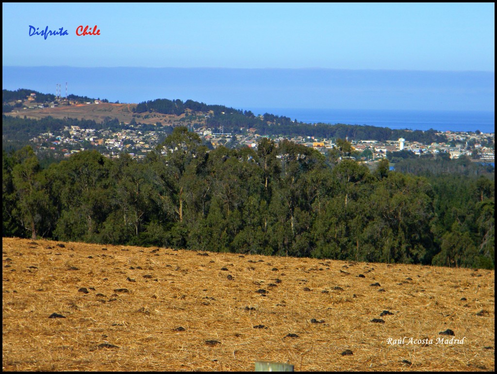 Foto de Pichilemu (Libertador General Bernardo OʼHiggins), Chile