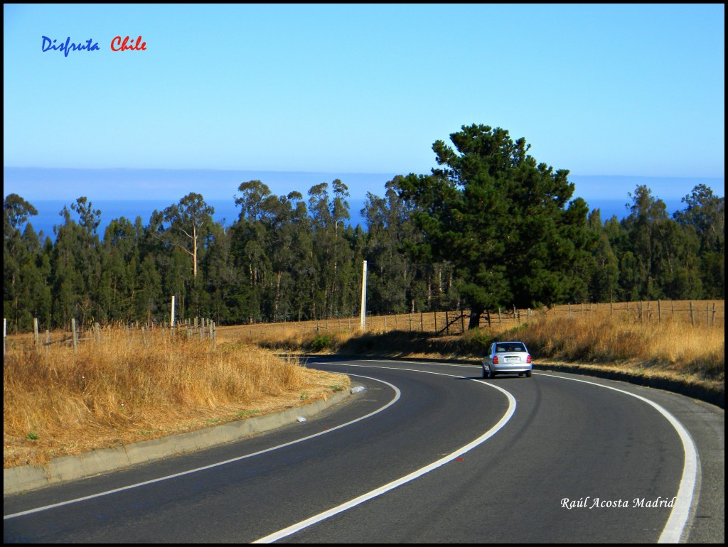 Foto de Pichilemu (Libertador General Bernardo OʼHiggins), Chile