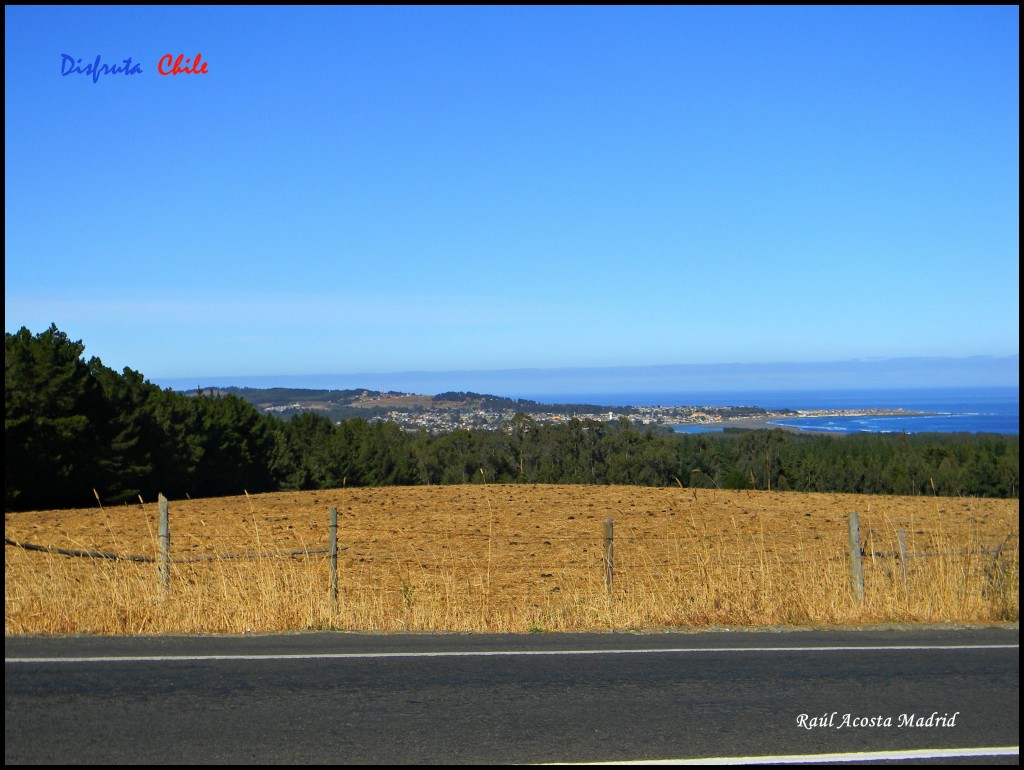 Foto de Pichilemu (Libertador General Bernardo OʼHiggins), Chile