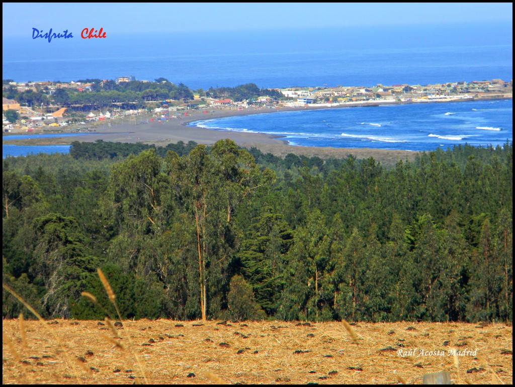 Foto de Pichilemu (Libertador General Bernardo OʼHiggins), Chile