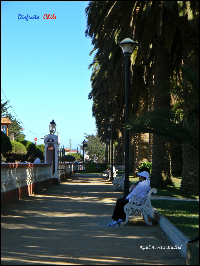 Foto de Pichilemu (Libertador General Bernardo OʼHiggins), Chile