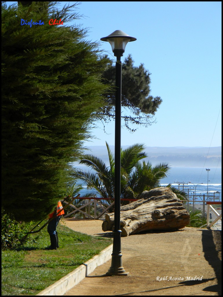 Foto de Pichilemu (Libertador General Bernardo OʼHiggins), Chile