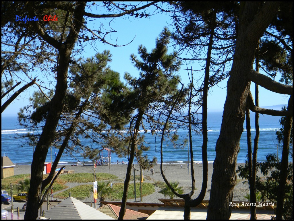 Foto de Pichilemu (Libertador General Bernardo OʼHiggins), Chile