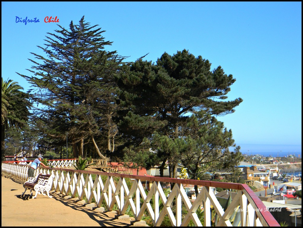 Foto de Pichilemu (Libertador General Bernardo OʼHiggins), Chile