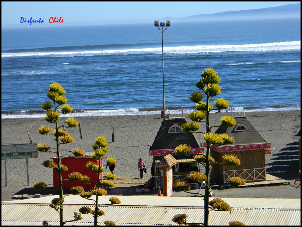 Foto de Pichilemu (Libertador General Bernardo OʼHiggins), Chile