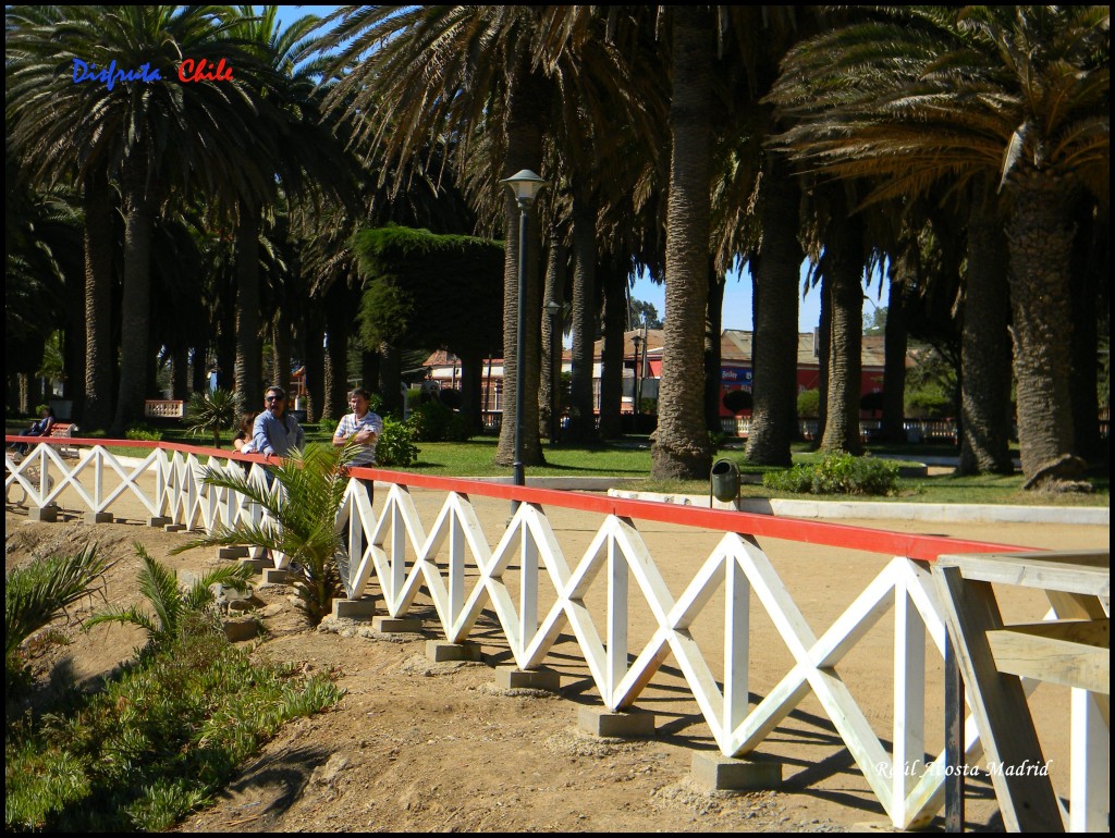 Foto de Pichilemu (Libertador General Bernardo OʼHiggins), Chile