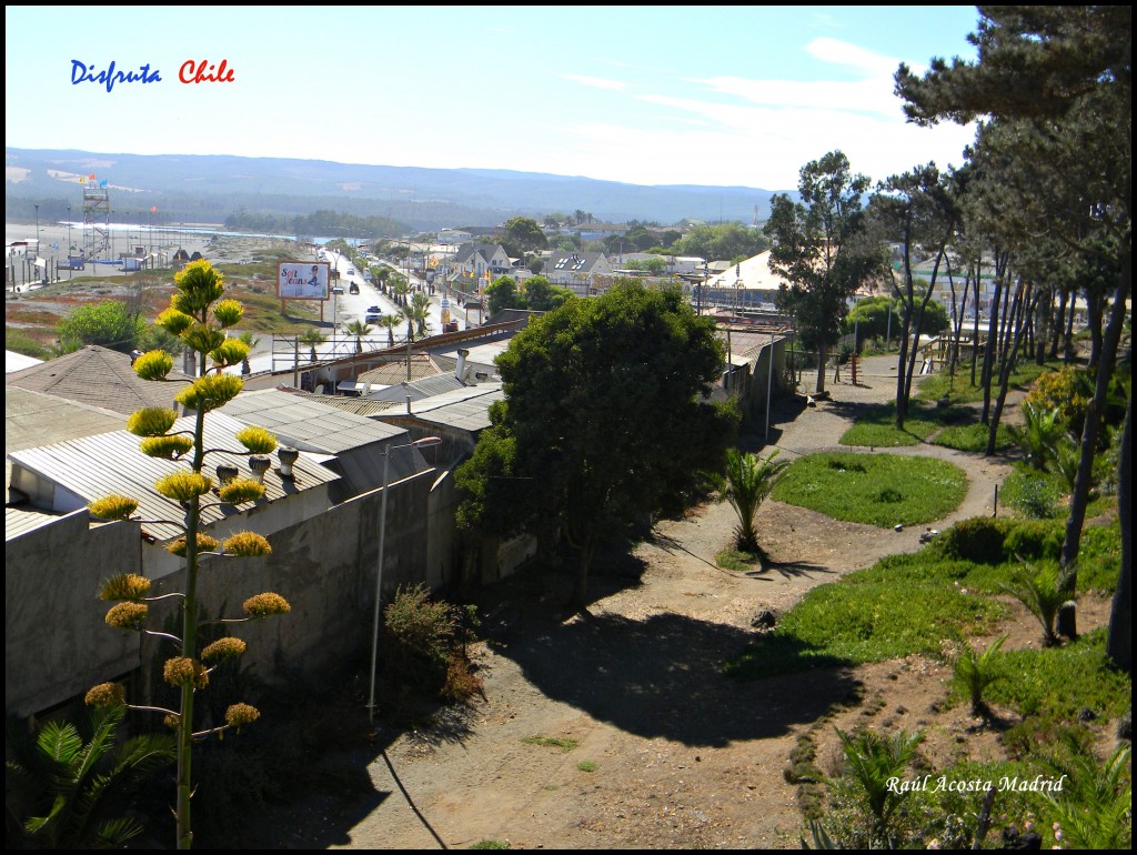 Foto de Pichilemu (Libertador General Bernardo OʼHiggins), Chile