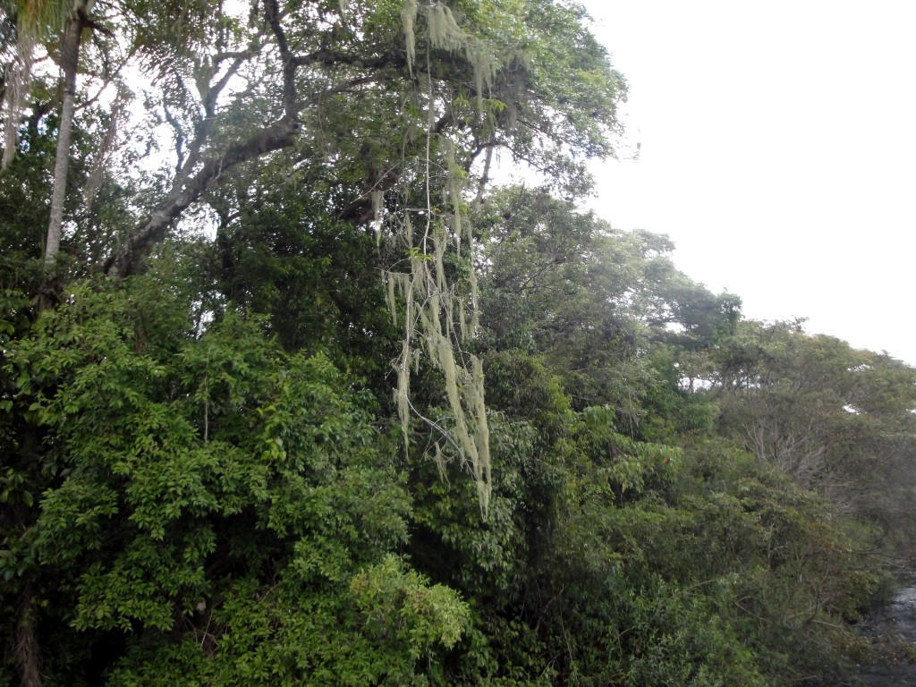 Foto: Garganta Del Diablo - Puerto Iguazú (Misiones), Argentina