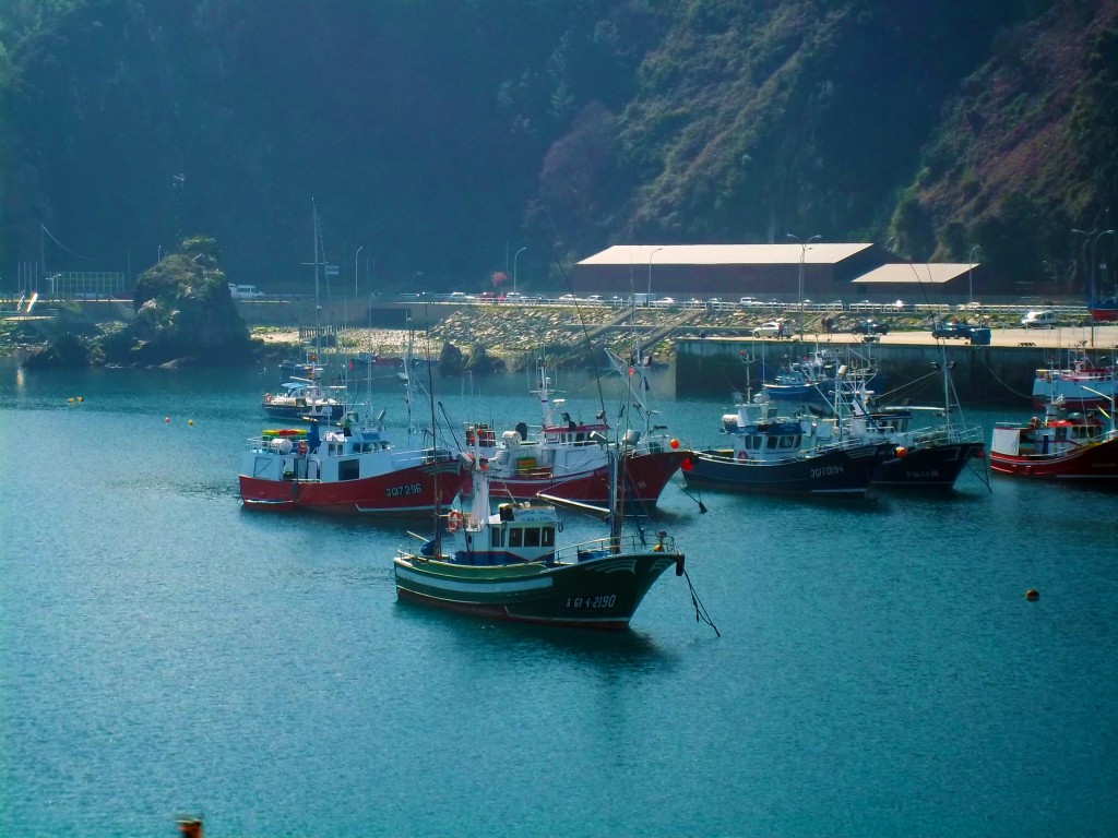 Foto: Cudillero - Cudillero (Asturias), España