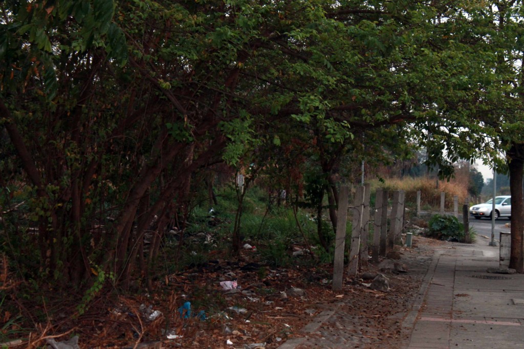 Foto de Tapachula (Chiapas), México