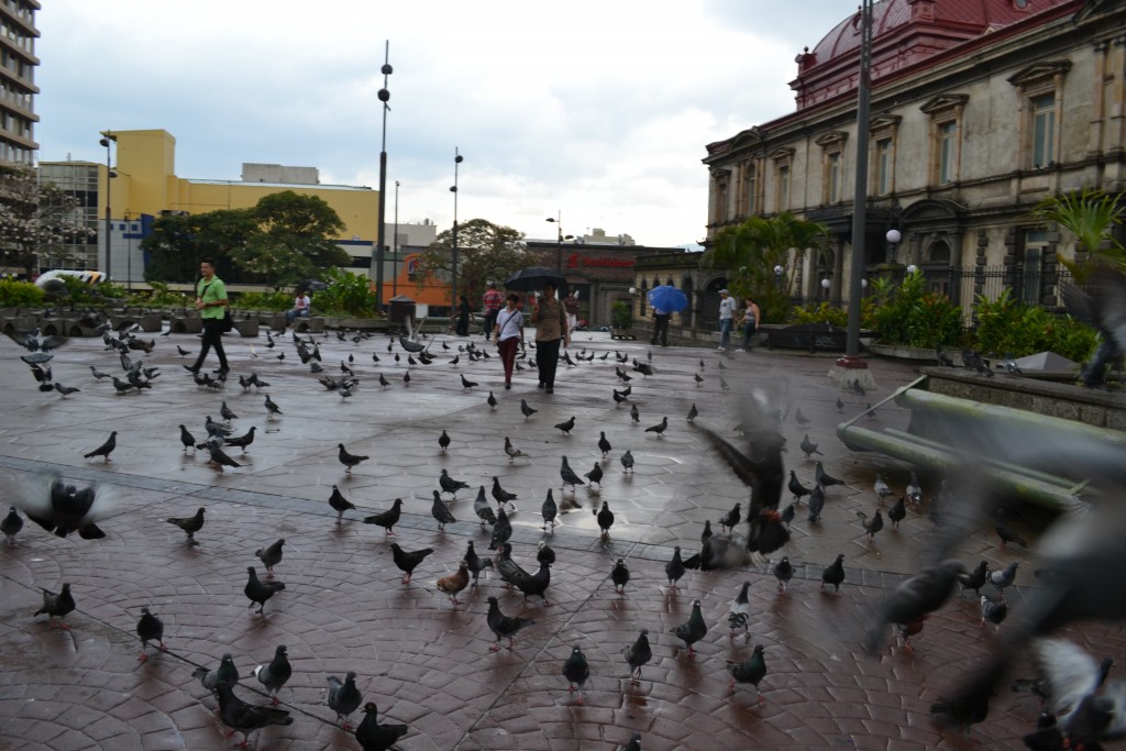 Foto de San Jose (San José), Costa Rica