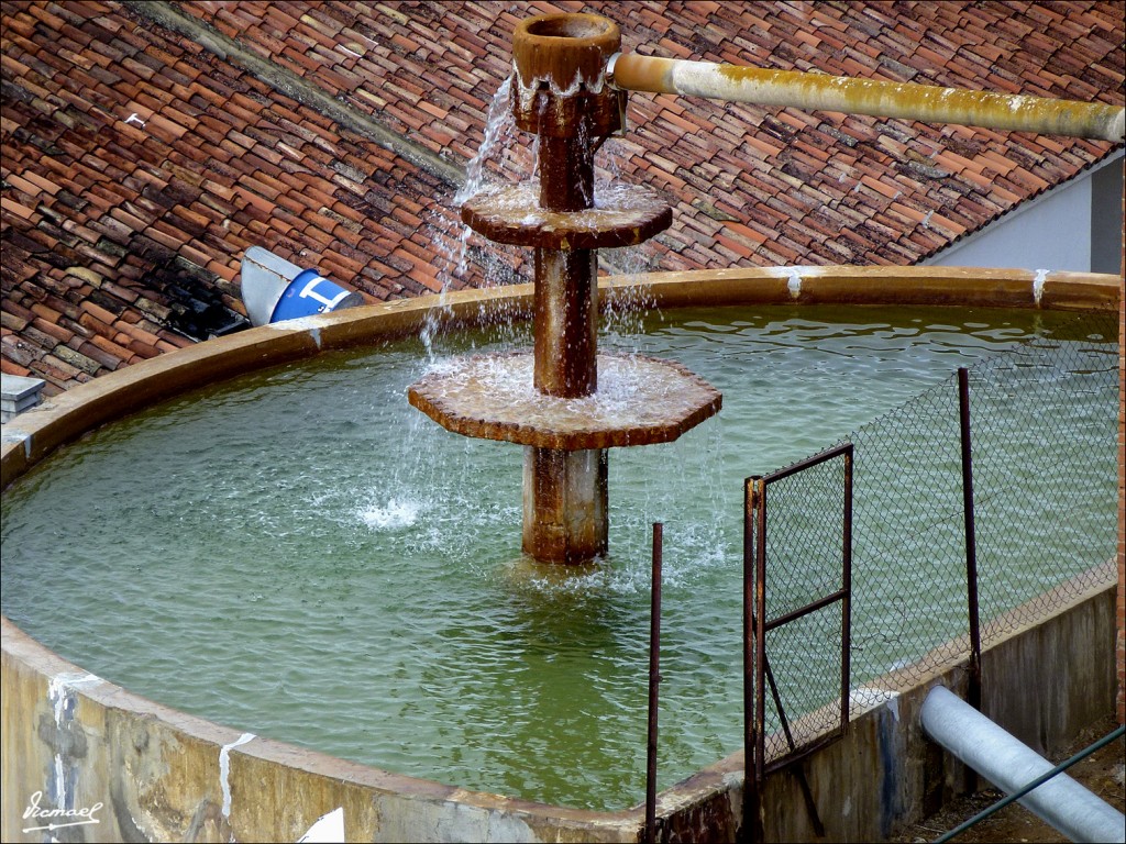 Foto: 120417-06 Baños De Fitero - Fitero (Navarra), España