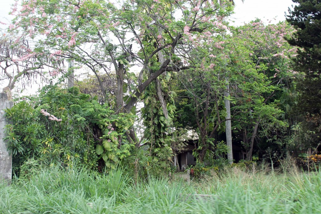 Foto de Tapachula (Chiapas), México