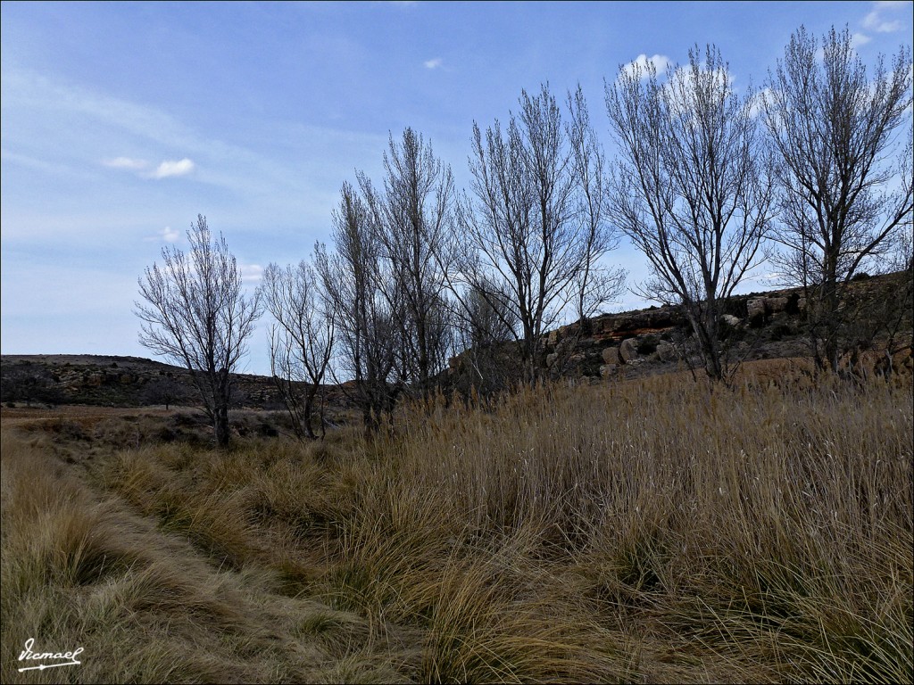 Foto: 120331-05 ALCONCHEL DE ARIZA - Alconchel De Ariza (Zaragoza), España