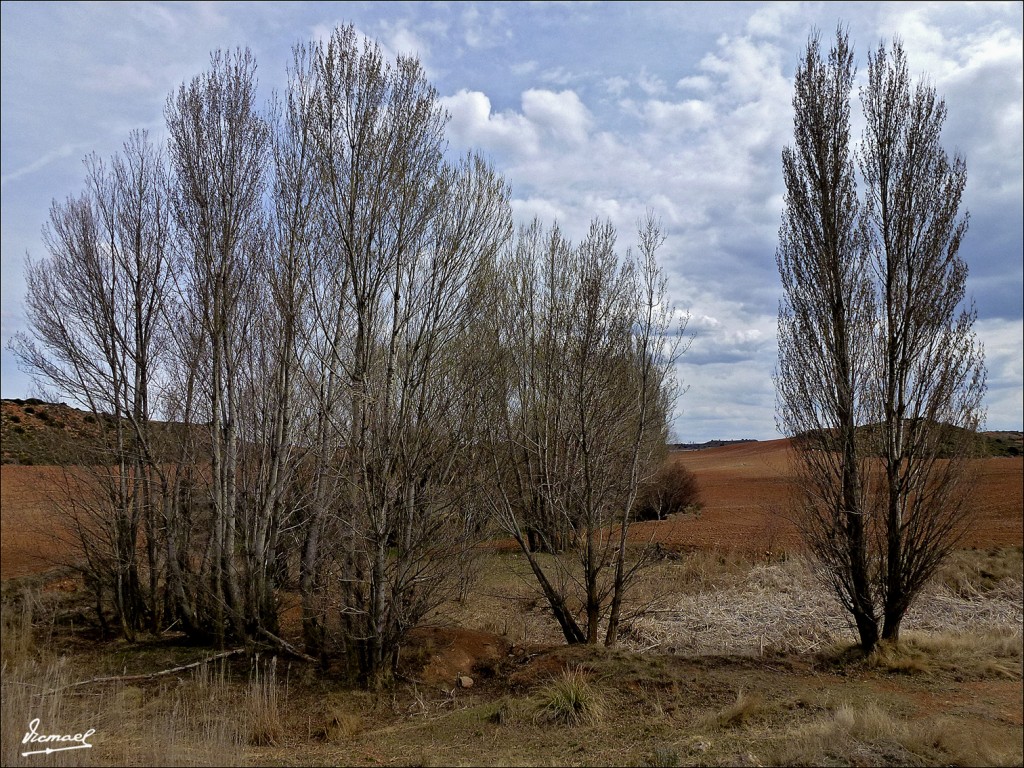 Foto: 120331-10 ALCONCHEL DE ARIZA - Alconchel De Ariza (Zaragoza), España