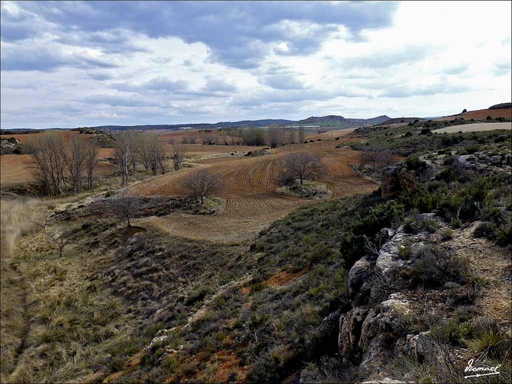 Foto: 120331-20 ALCONCHEL DE ARIZA - Alconchel De Ariza (Zaragoza), España