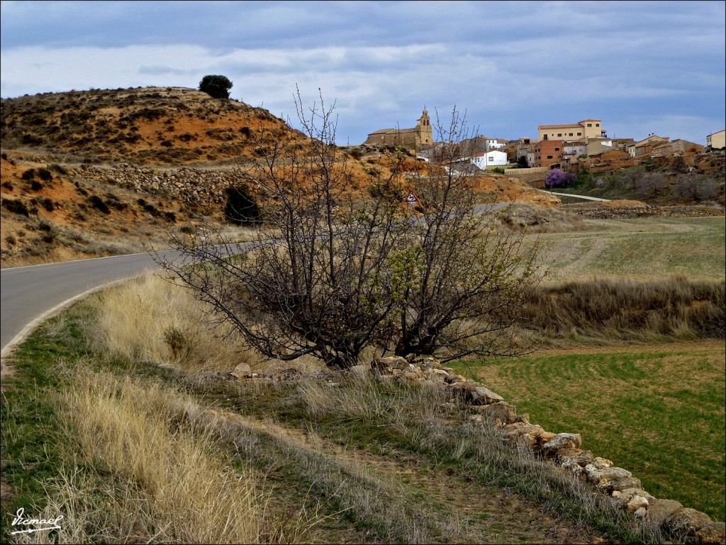 Foto: 120331-29 ALCONCHEL DE ARIZA - Alconchel De Ariza (Zaragoza), España