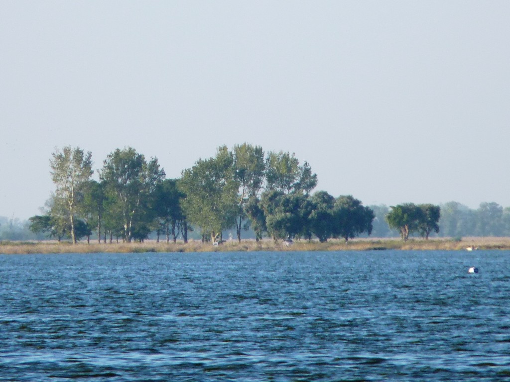 Foto: Laguna de Lobos - Lobos (Buenos Aires), Argentina