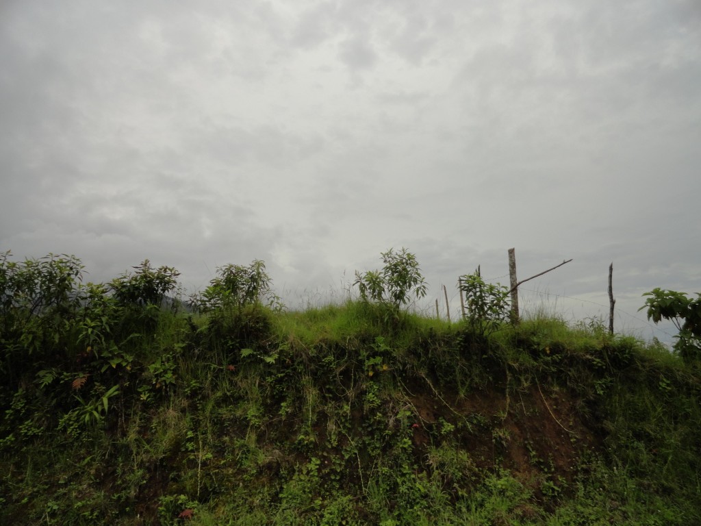 Foto: Cosanga Paisaje - Baeza (Napo), Ecuador