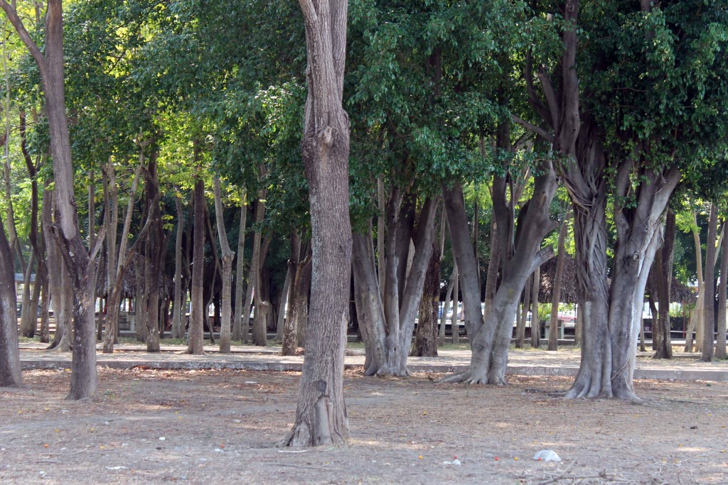 Foto de Tapachula (Chiapas), México