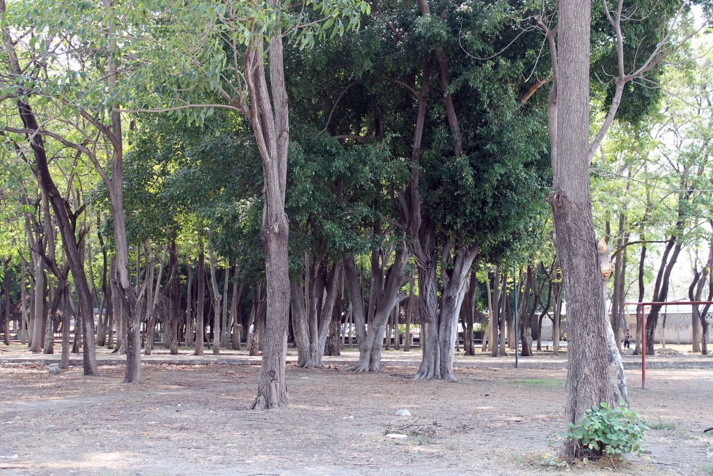 Foto de Tapachula (Chiapas), México