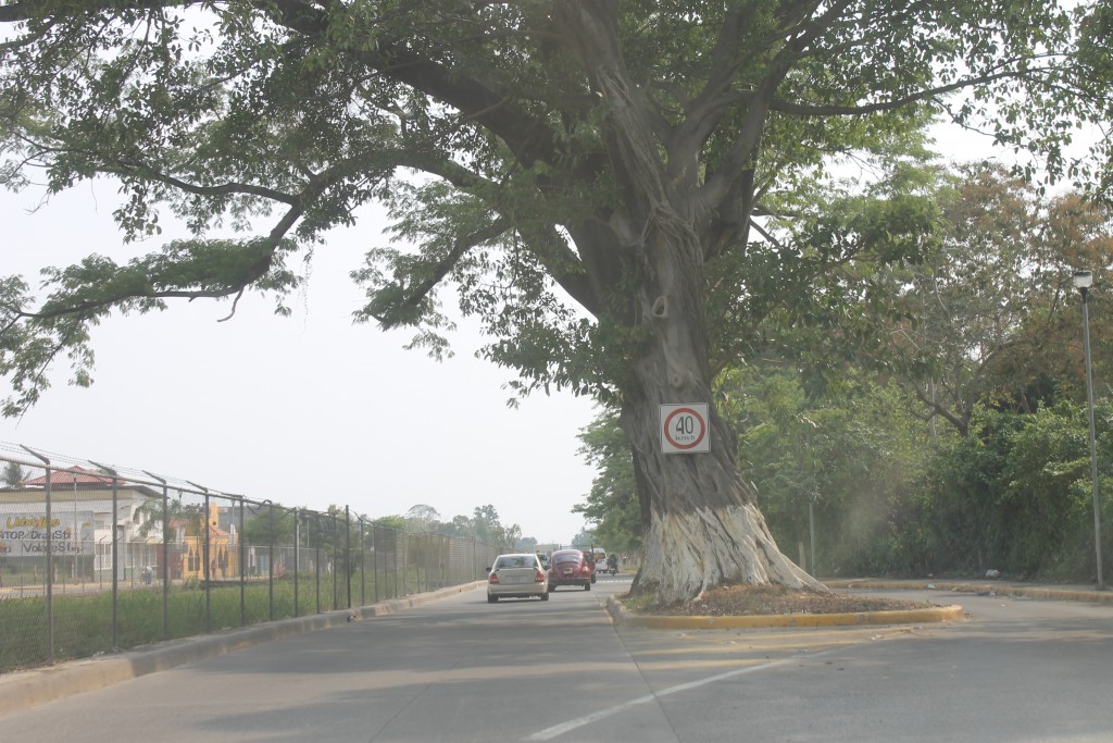 Foto de Tapachula (Chiapas), México