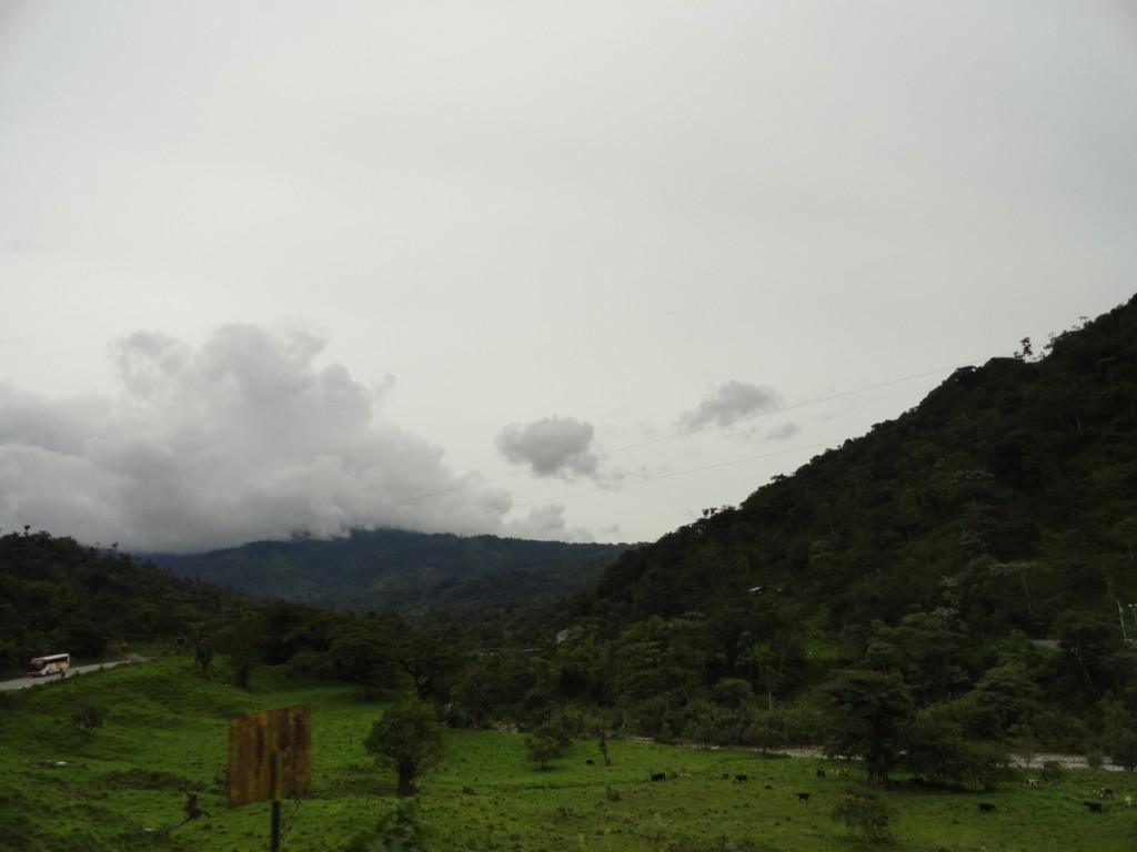 Foto: Paisaje - Chaco (Napo), Ecuador