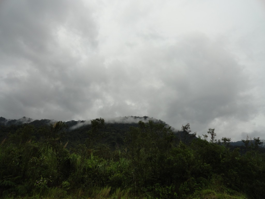 Foto: Paisaje - Reventador (Sucumbios), Ecuador