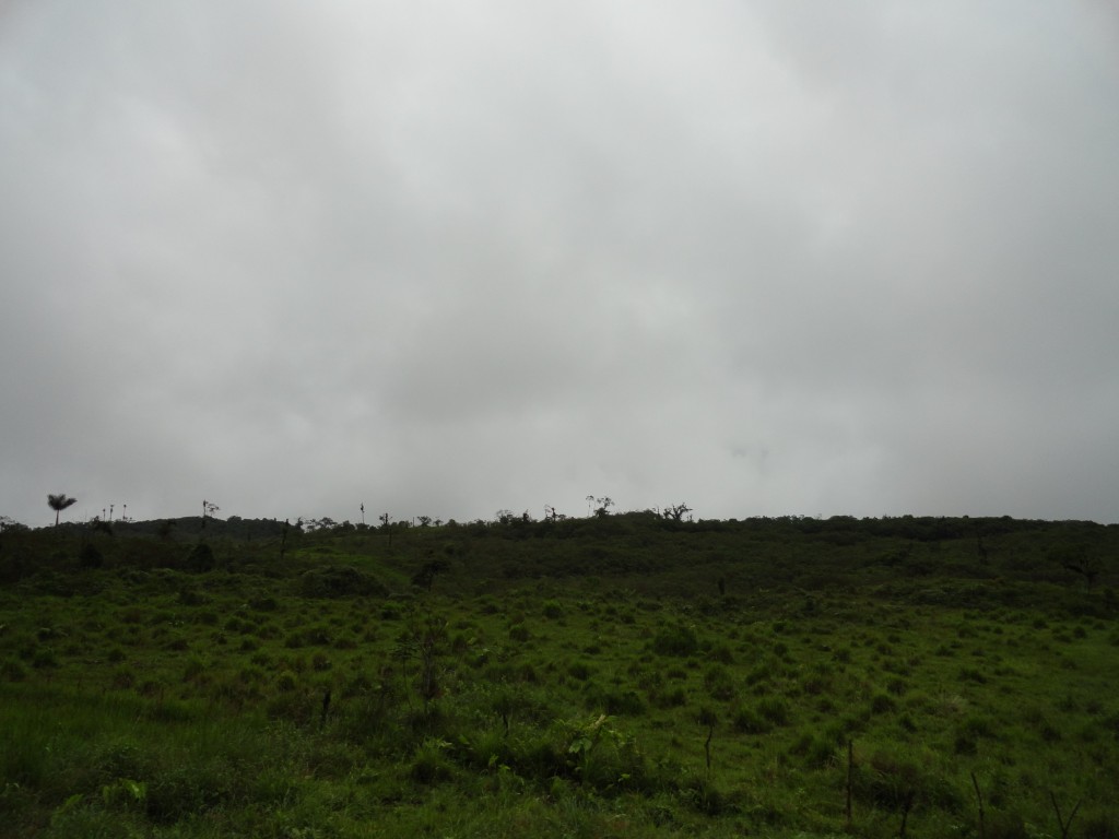 Foto: Paisaje - Reventador (Sucumbios), Ecuador