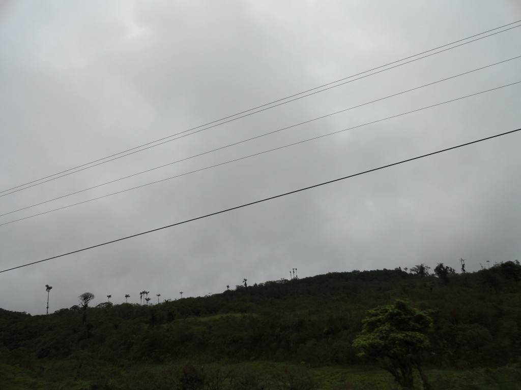 Foto: Paisaje - Reventador (Sucumbios), Ecuador