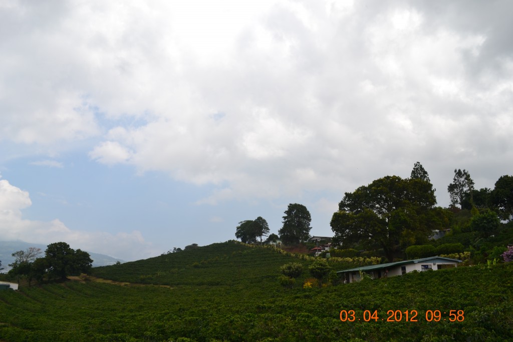 Foto de Cerrillal De Alajuela (Alajuela), Costa Rica