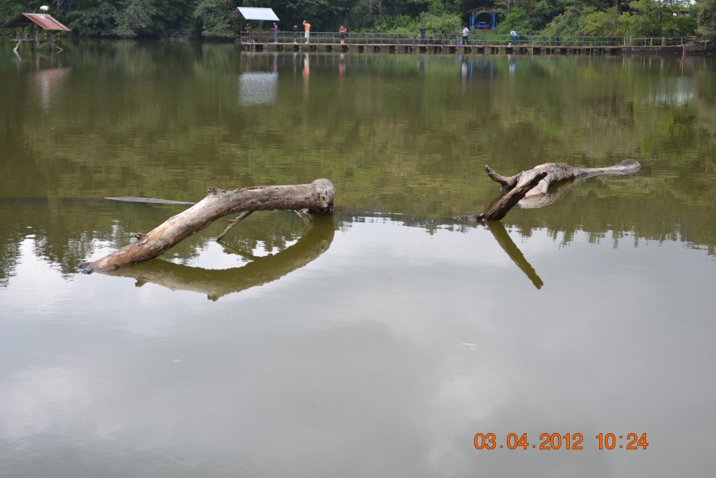 Foto: LAGUNA DE FRAIJANES (Fraijanes De San Isidro De Alajuela) - Fraijanes De San Isidro De Alajuela (Alajuela), Costa Rica