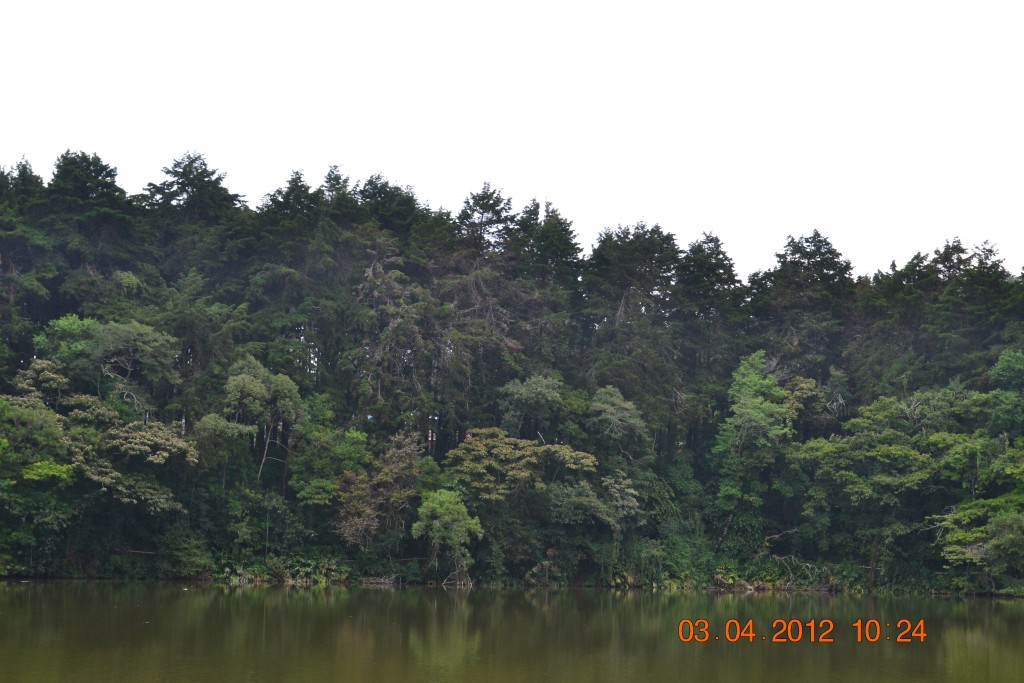 Foto: LAGUNA DE FRAIJANES (Fraijanes De San Isidro De Alajuela) - Fraijanes De San Isidro De Alajuela (Alajuela), Costa Rica