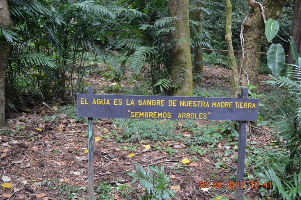 Foto: LAGUNA DE FRAIJANES (Fraijanes De San Isidro De Alajuela) - Fraijanes De San Isidro De Alajuela (Alajuela), Costa Rica