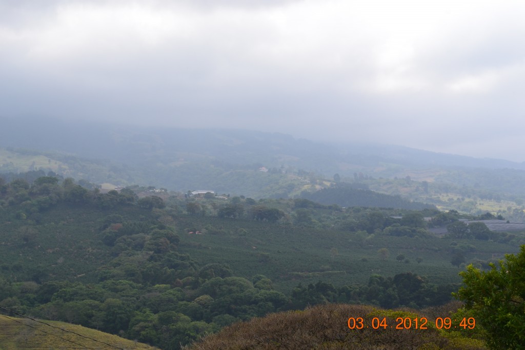 Foto: CERRILLAL - Cerrillal De San Isidro (Alajuela), Costa Rica