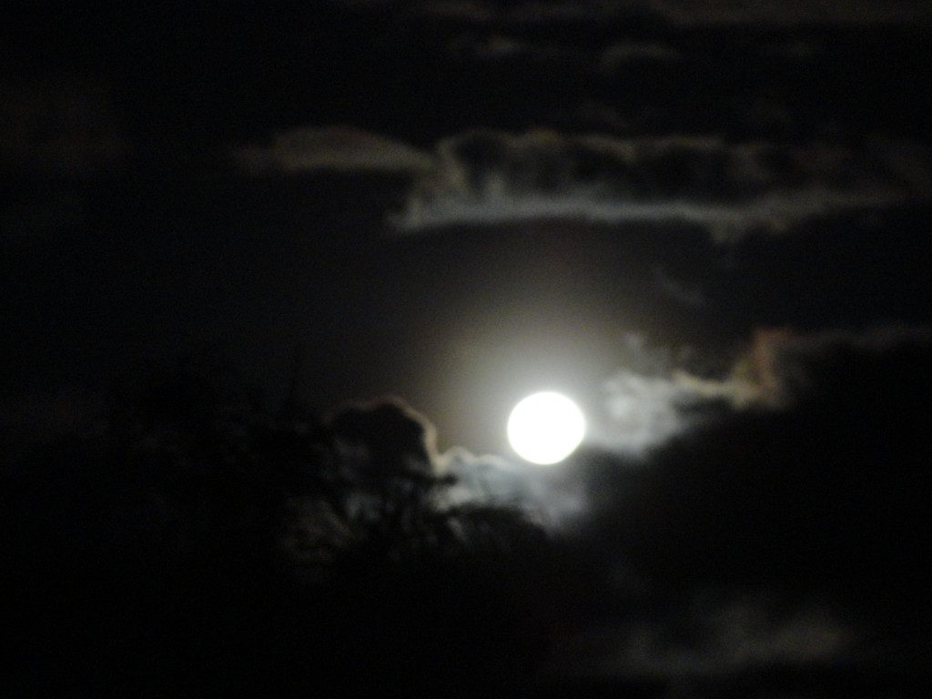 Foto: Luna - Shell (Pastaza), Ecuador