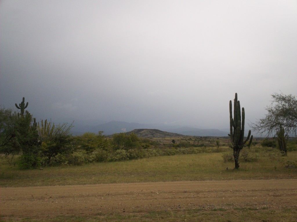 Foto: Desierto de la Tatacoa - Villa Vieja (Huila), Colombia