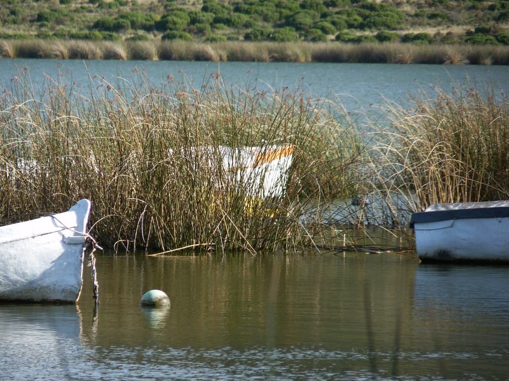 Foto: Laguna La Brava - Mar del Plata (Buenos Aires), Argentina