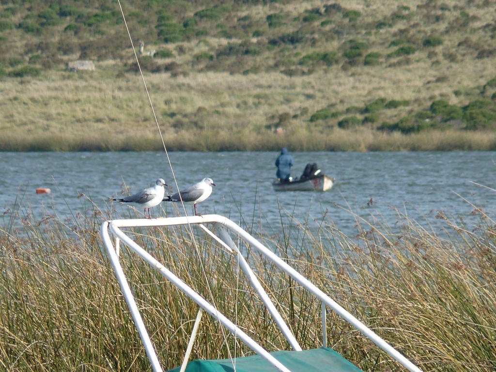 Foto: Laguna La Brava - Mar del Plata (Buenos Aires), Argentina