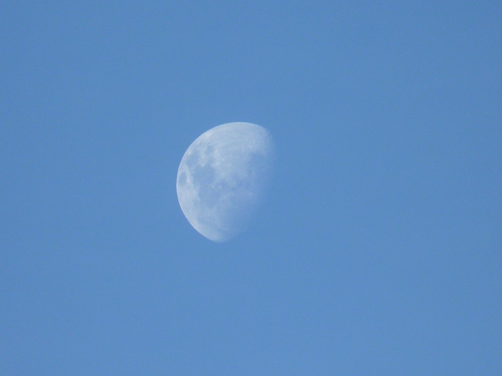 Foto: Luna - Mar del Plata (Buenos Aires), Argentina