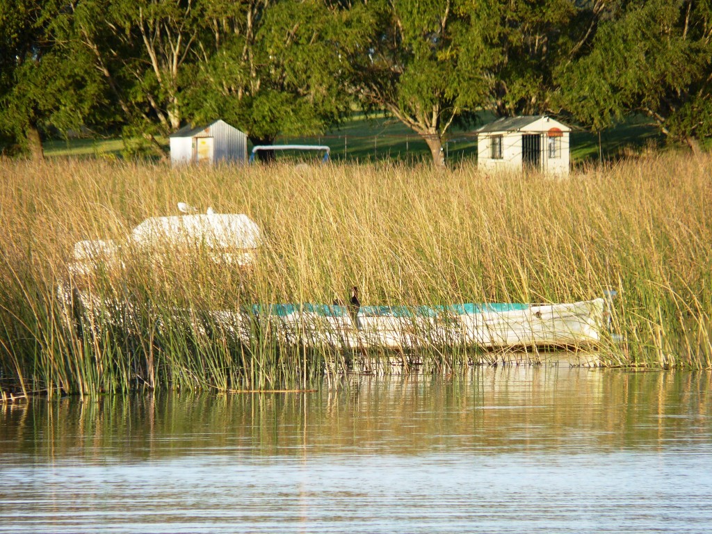 Foto: Laguna La Brava - Mar del Plata (Buenos Aires), Argentina