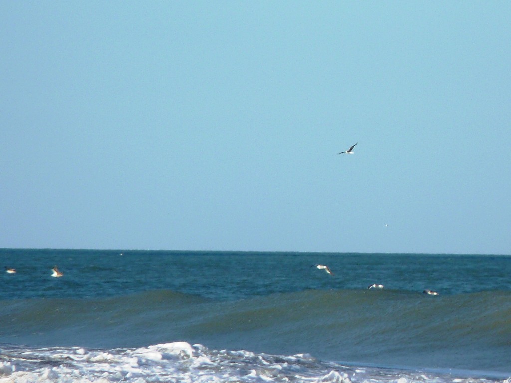 Foto: Balneario - Santa Clara del Mar (Buenos Aires), Argentina