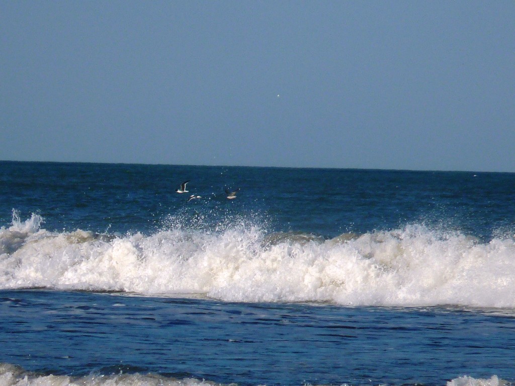 Foto: Balneario - Santa Clara del Mar (Buenos Aires), Argentina