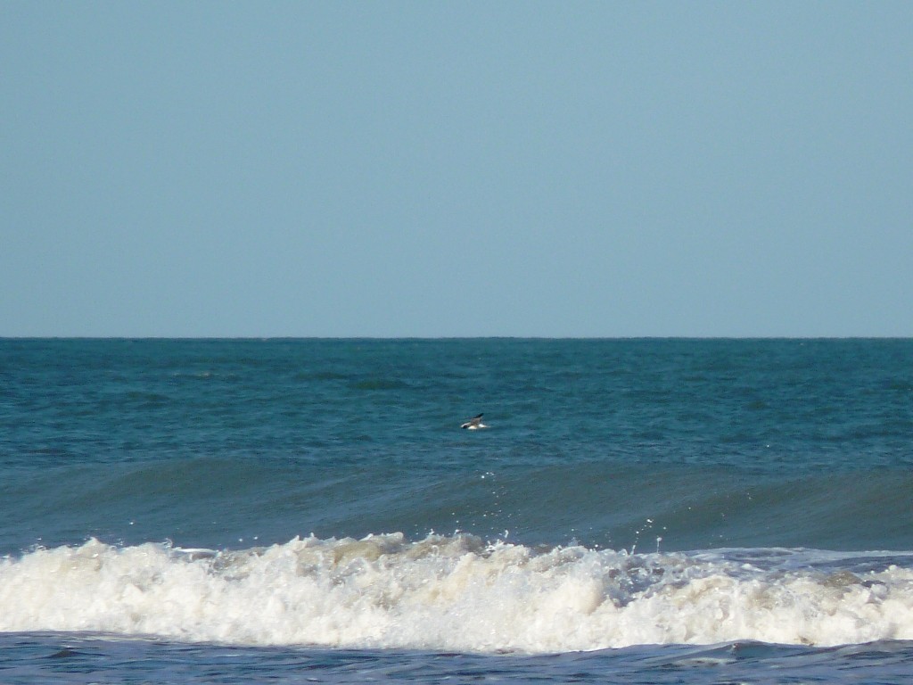 Foto: Balneario - Santa Clara del Mar (Buenos Aires), Argentina