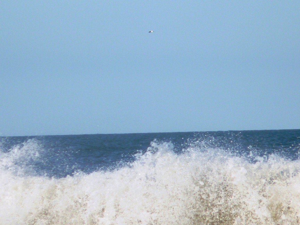 Foto: Balneario - Santa Clara del Mar (Buenos Aires), Argentina