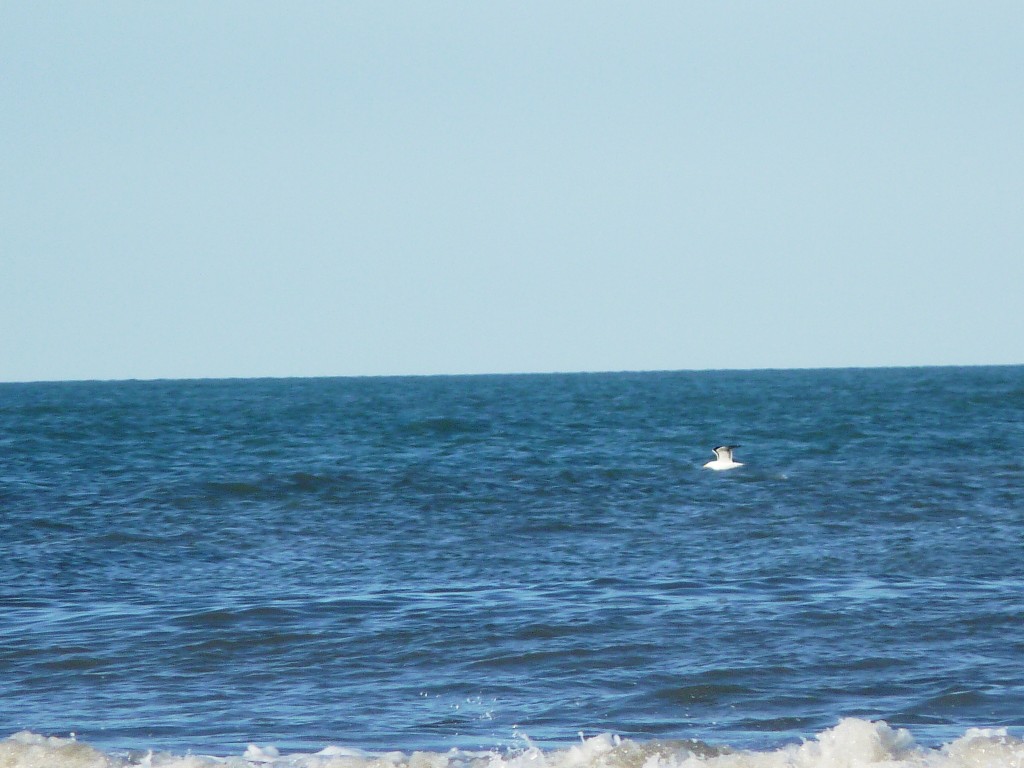 Foto: Balneario - Santa Clara del Mar (Buenos Aires), Argentina