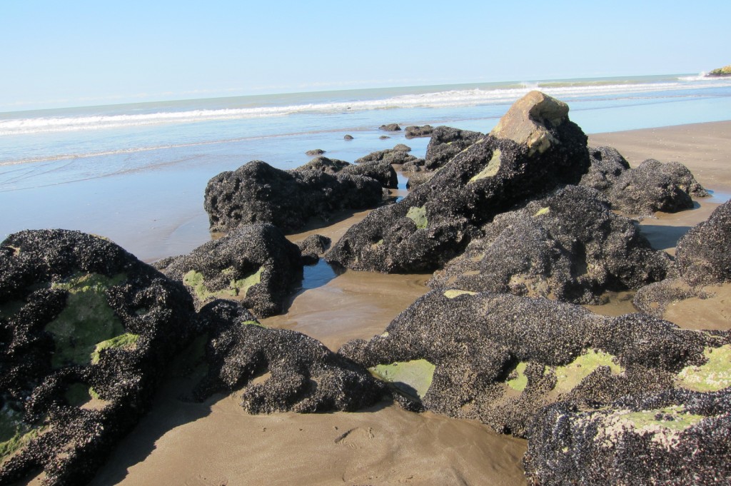 Foto: Balneario - Mar Chiquita (Buenos Aires), Argentina