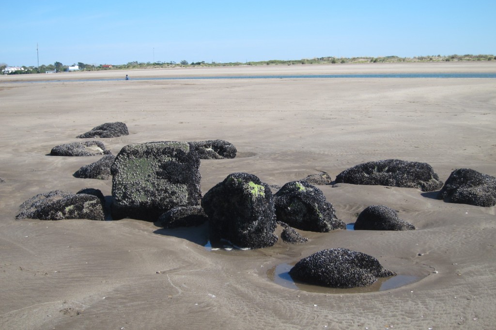 Foto: Balneario - Mar Chiquita (Buenos Aires), Argentina